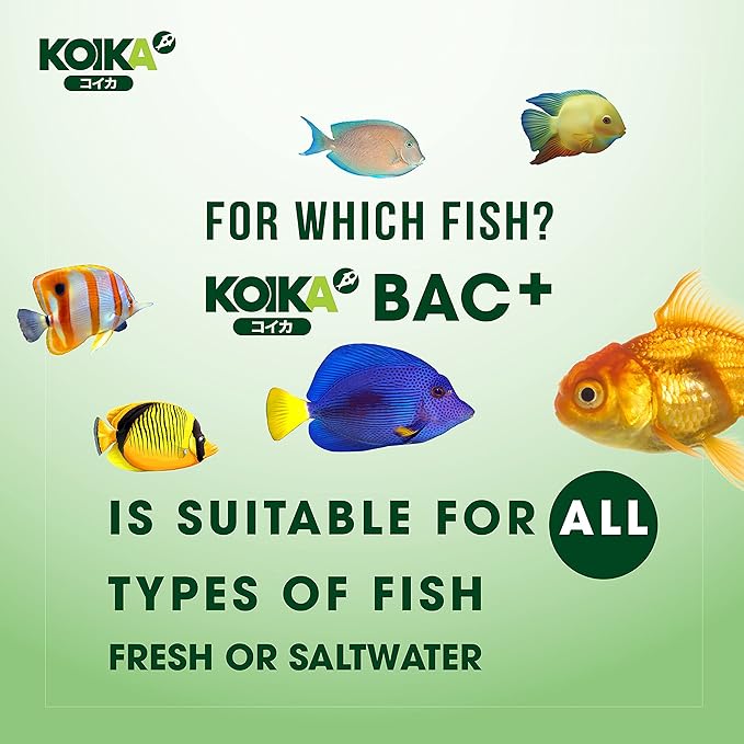 BAC+ Aquarium Probiotics, Immunity Boosting, Disease Resistance & Improve The Digestive System (BAC+,105ml)