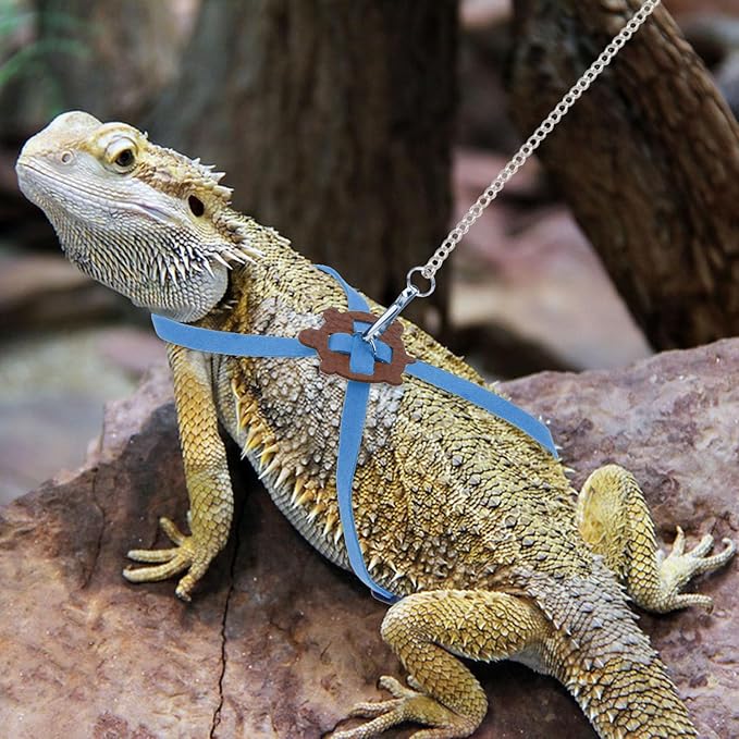 2 Pack Adjustable Reptile Harness and Leash for Lizard Gecko Bearded Dragon Outside Walk (Blue)