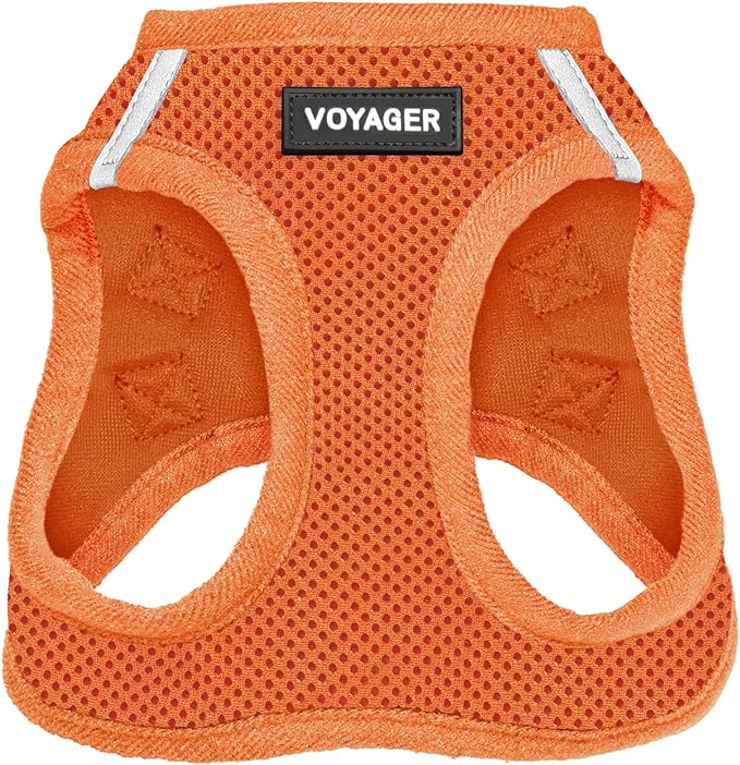 Voyager Step-in Air Dog Harness - All Weather Mesh Step in Vest Harness for Small and Medium Dogs and Cats by Best Pet Supplies - Harness (Orange), M (Chest: 16-18")