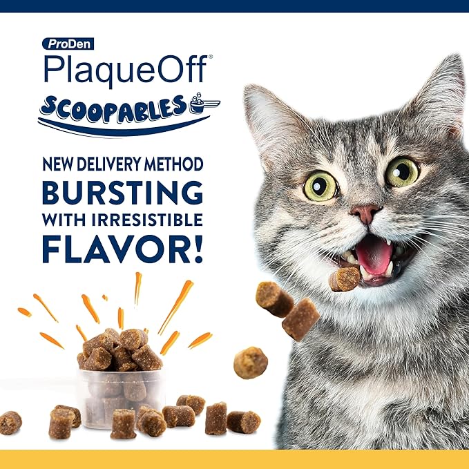 ProDen PlaqueOff Scoopables: Salmon-Flavored Dental Bites for Cats - Natural Kelp Formula for Plaque & Tartar Control, Freshens Breath- 45 Scoops