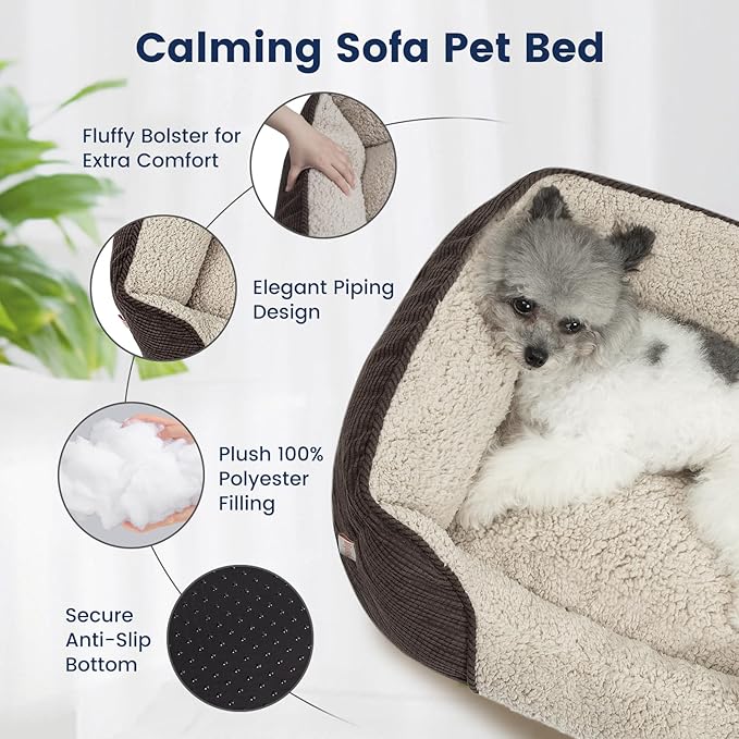 Miguel Washable Cat Beds for Indoor Cats with Removable Cushion, Easy to Wash Small Pet Sofa Bed with Side, Rectangle Bolster Kitten Bed Calming Cuddle Puppy Bed with Anti-Slip Bottom, Brown 18 Inch