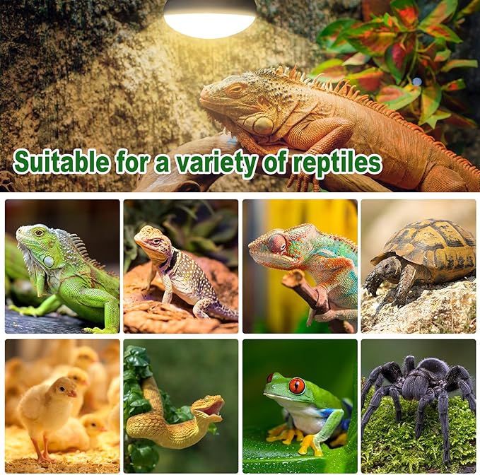 MIXJOY Reptile Heat Lamp 75W 2 Pack, UVA Daylight Basking Spot Light, Amphibians Basking Bulbs Heat Lamps, Heat Lamp Bulbs for Reptiles, Lizard, Tortoise, Bearded Dragon