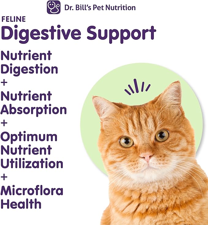 Dr. Bill's Feline Digestive Support Cat Prebiotics and Probiotics with Ginger Root, Psyllium Husk, Lemon Balm & More | 41 Active Ingredients for Better Digestion & Gut Health | Made in The USA