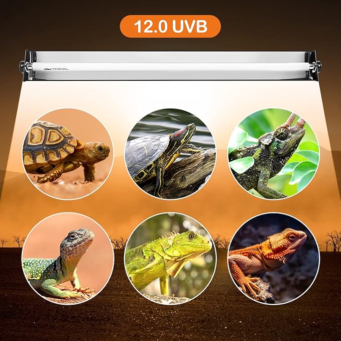 Oiibo T5 UVB Reptile Lighting Combo Kit, Reptile Light Fixture with 39W Desert 12.0 UVB Bulb High Output T5 HO UVB Reptile Light with Detachable Curved Reflector