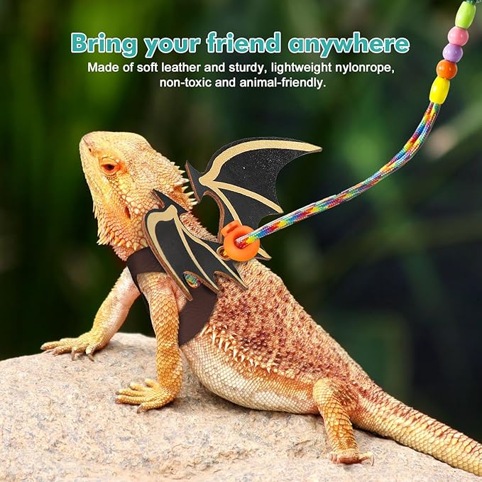 Bearded Dragon Lizard Leash Harness,4 Size Pack Adjustable Small Animal Harness for Reptile and Small pet (New Dinosaur Wing)