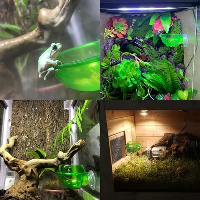 PINVNBY Reptile Suction Cup Feeder,Chameleon Feeding Food Bowl,Translucent Anti Escape Worm Live Fodder Container,Pet Ledge Water Dish Supplies for Lizard Gecko Bearded Dragon(4 Pcs)