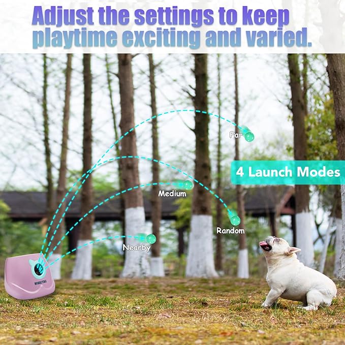 Automatic Ball Launcher for Dogs, Remote Dog Fetch Ball Thrower Launcher, Dog Toys Launcher Ball Thrower with 10 Balls for Small Dogs and Puppies, Interactive Dog Self Playing