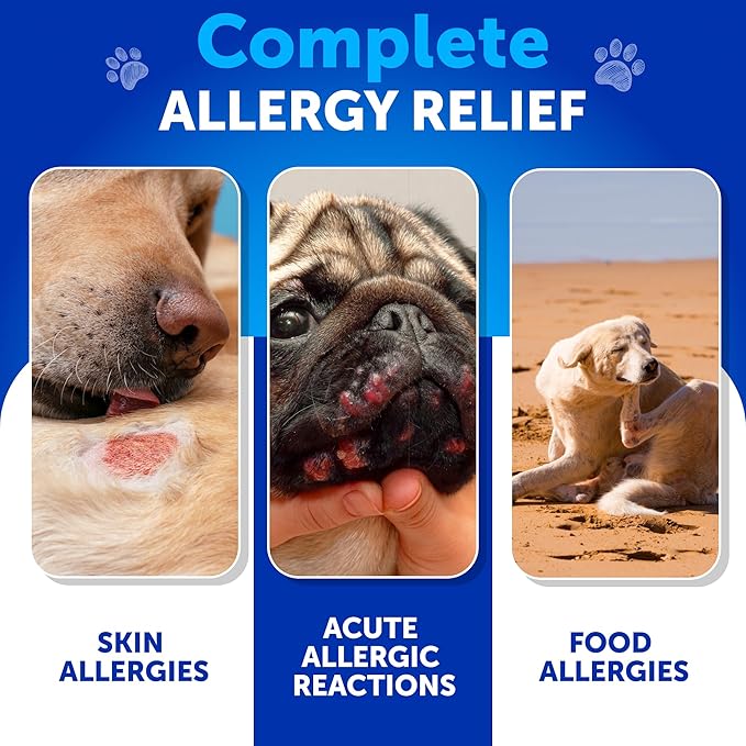 Dog Allergy Relief Chews - Dog Itching Skin Relief Treatment Pills - Itchy and Paw Licking - Anti-Itch Support - Immune Skin & Coat Supplement - Dry Skin and Hot Spots - 70 Treats