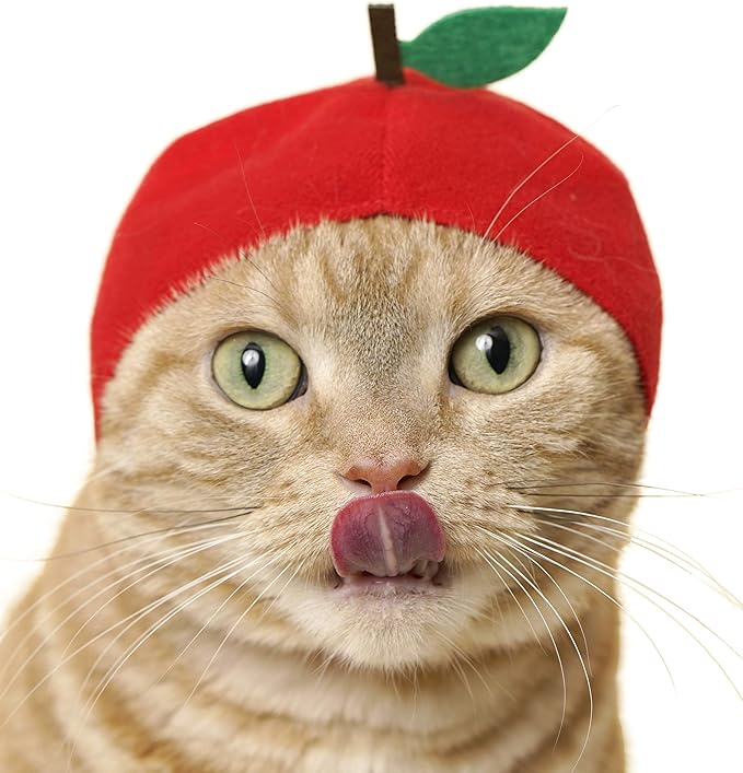 Kitan Club Cat Cap - Pet Hat Blind Box includes 1 of 6 Cute Styles - Soft, Comfortable - Authentic Japanese Kawaii Design - Animal-Safe Materials, Premium Quality (Fruit)