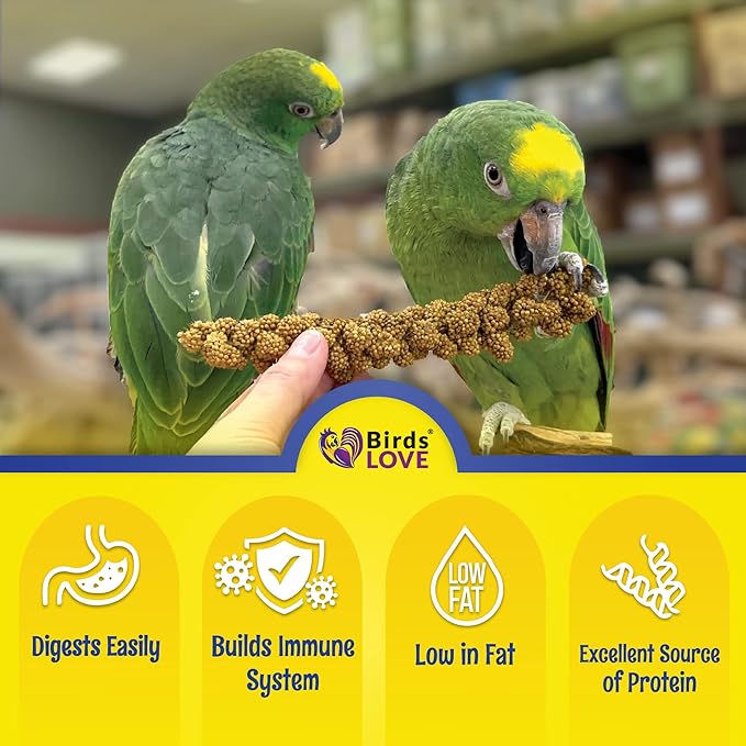 Birds LOVE Economy & Thin Special Spray Millet GMO-Free (No Stems Only Edible Tops) for Birds Cockatiel Lovebird Parakeet Finch Canary All Parrots Healthy Treat - 2lbs