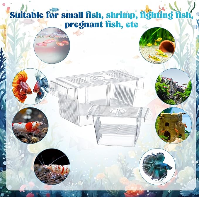 6 Pcs Fish Breeder Box for Aquarium with Removable Grating 2 Sizes Plastic Fish Hatchery with Suction Cups Fish Tank Baby Fish Separator for Aggressive Injured Pregnant Fish