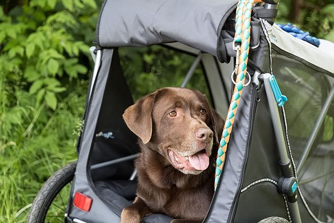 TRIXIE 2-in-1 Dog Bike Trailer and Pet Stroller for Medium Dogs up to 66 lbs, Quick Set-up and Fold Down, Gray