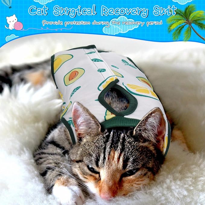 Nuanchu 3 Pieces Cat Recovery Suit Kitten Recovery Suit E-Collar Alternative for Cats and Dogs Abdominal Skin Anti Licking Pajama Suit (Watermelon Pattern, Medium)