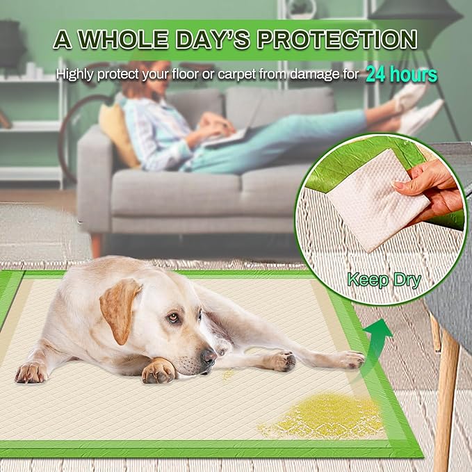 Pee Pads for Dogs Rugular 22"x22", Thicker ECO Green Small Disposable Puppy Training Pads Super Absorbent Full Edge-Wrapping Pad for Dogs, Puppies, Doggies, Cats-(50 Count)