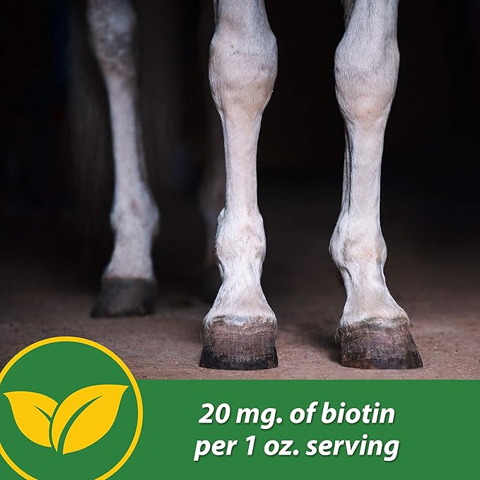 Farnam HB 15 Hoof Supplement, Supports healthy hoof growth 3 pound, 48 Day Supply