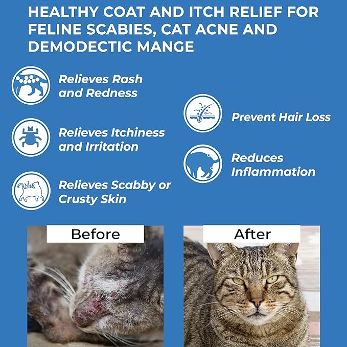 BestLife4Pets Demodectic Mange and Scabies Relief for Cats - Ear Mites & Itch Relief Supplements for Cat Itching Relief - Restores Healthy Feline Coat and Skin - Easy to Use Natural Pills