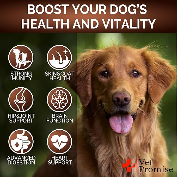 Mushroom for Dogs - 170 Chews - Turkey Tail Mushroom for Dogs - Mushroom Supplement for Dogs - Lions Mane - Reishi - Immunity Support Multivitamin - Joint Health - Energy - Gut - Skin - Dog Vitamins