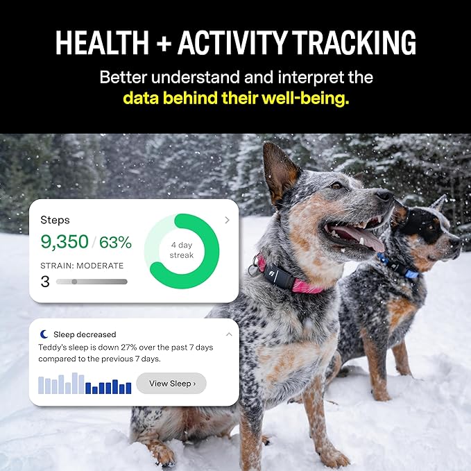 Fi Series 3 Smart Dog Collar - GPS Dog Tracker and Activity & Fitness Monitor, Waterproof, LED Light, Escape Alerts, Nationwide Coverage [Free 1 Year Membership] (Gray, Large)