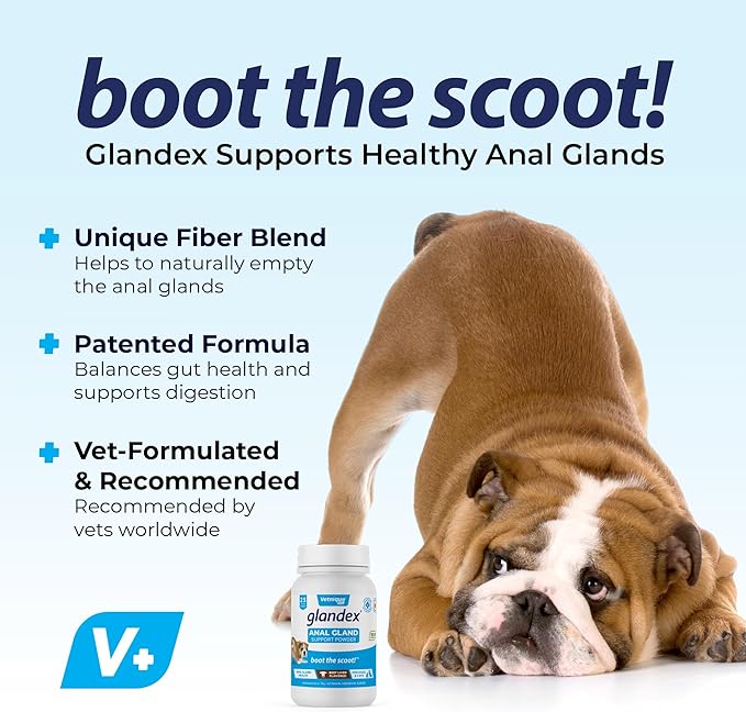 Glandex Dog Fiber Supplement Powder for Anal Glands with Pumpkin, Digestive Enzymes & Probiotics - Vet Recommended Healthy Bowels and Digestion - Boot The Scoot (Beef Liver, 2.5oz Powder)