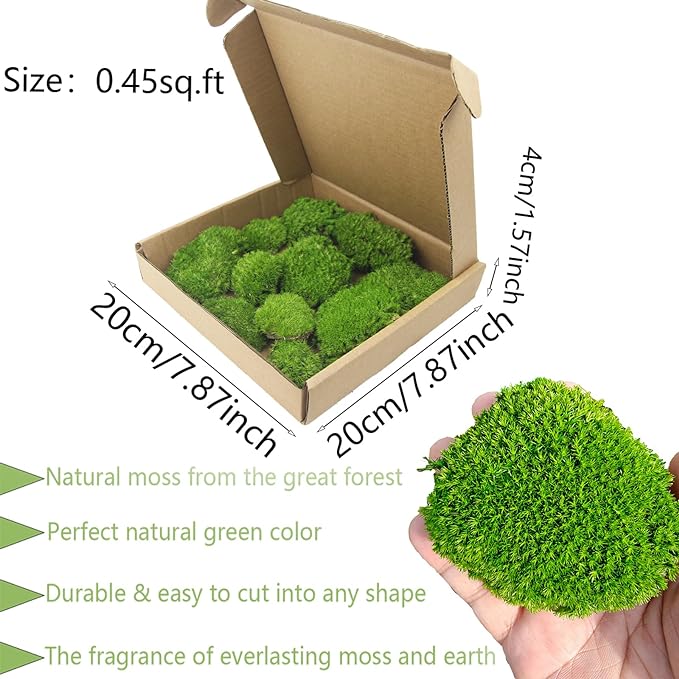 FAICOIA Preserved Pillow Moss Bulk Green Moss Balls for Bowls Natural Green Decorative 0.45 sq.ft Preserved Pole Moss Pillow for Wall Art Terrariums Crafts Fairy Gardens Pot Plants Easter Table Decor