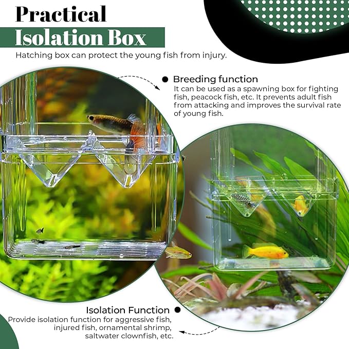 2 Pcs Acrylic Fish Breeding Box Double Layer, Aquarium Breeder Box for Fish Tank Divider, Transparent Fish Isolation Box with Suction Cup Acclimation Hatchery Incubator for Shrimp