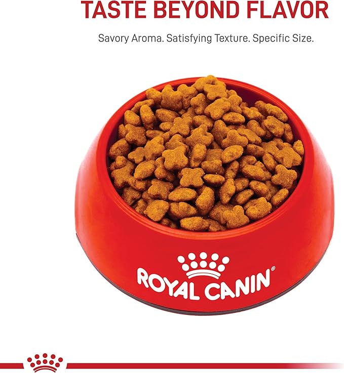 Royal Canin Jack Russell Terrier Adult Dry Dog Food, 10 lb bag