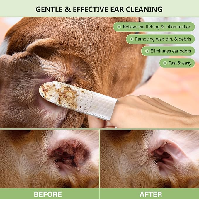 [50 pcs Extra-Large] Dog Ear Wipes - Ear Cleaner for Dogs and Cats - Remove Ear Wax, Debris Gently - Soothes & Deodorizes - All Natural Ingredients - Coconut Scent - with Cotton Swabs