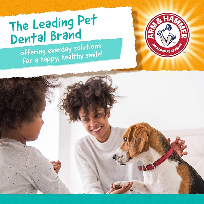 Arm & Hammer for Pets Ringers Dental Treats for Dogs Dog Dental Chews Fight Bad Dog Breath, Plaque & Tartar Without Brushing Fresh Mint Flavor, 4 Pack Dental Dog Chews (Pack of 4, 20 Count Total)