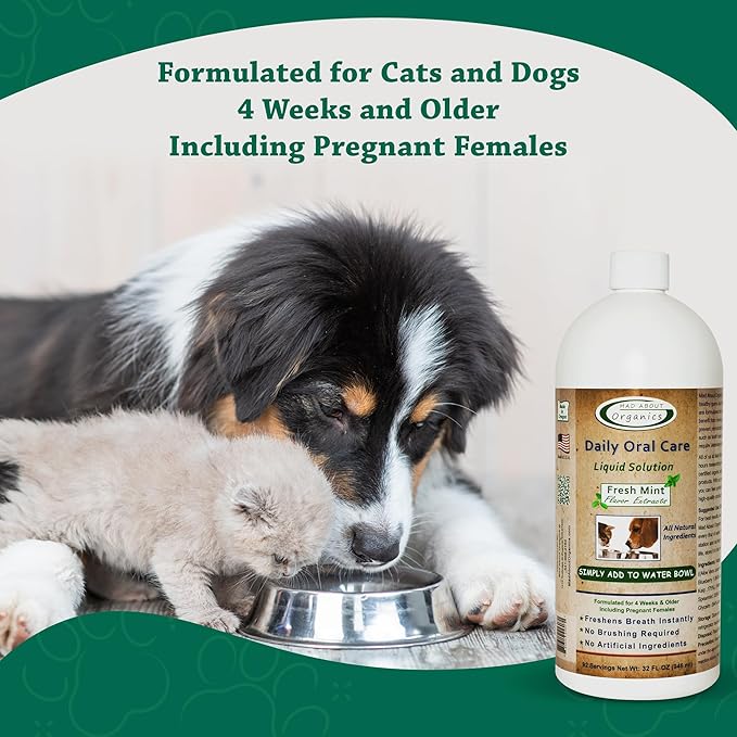 Dog and Cat Dental Water Additive 32oz Fresh Mint Flavor - Cat and Dog Breath Freshener, All Natural Pet Supplies Hard Plaque Remover, Dog Teeth Cleaning Water Drop Solutions