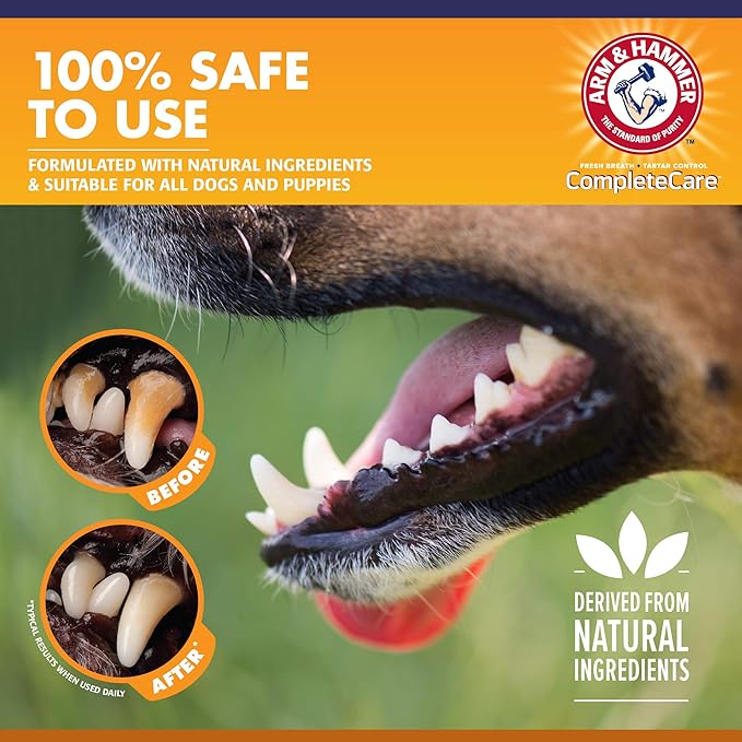 Arm & Hammer Complete Care Enzymatic Dog Toothpaste Value Size | 6.2 oz Peanut Butter Flavor Enzymatic Dog Toothpaste for Puppies | Great Tasting Dog Toothpaste with Arm & Hammer Baking Soda