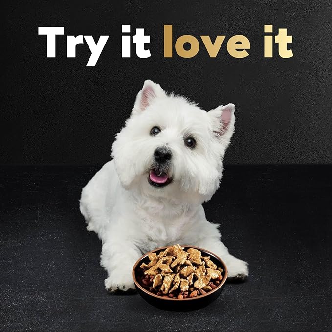 Cesar Filets in Gravy Wet Dog Food Wood-Grilled Chicken Flavor, 1.76 oz. Mini-Pouch, 20 Pack