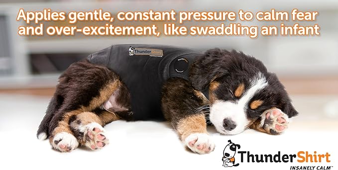 ThunderShirt for Dogs, XX Large, Platinum Sport - Dog Anxiety Relief Calming Vest