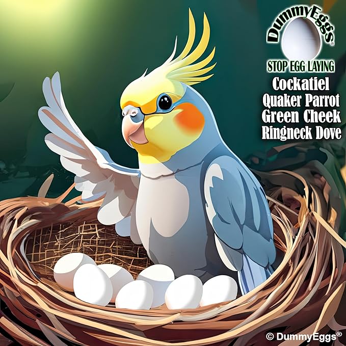 Cockatiel Eggs Stop Laying! 7 Plastic Solid Fake Bird Eggs: Dove, Quaker, Green Cheek, USA