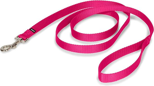 PetSafe Nylon Dog Leash - Strong, Durable, Traditional Style Leash with Easy to Use Bolt Snap - 3/4 in. x 6 ft., Raspberry Pink