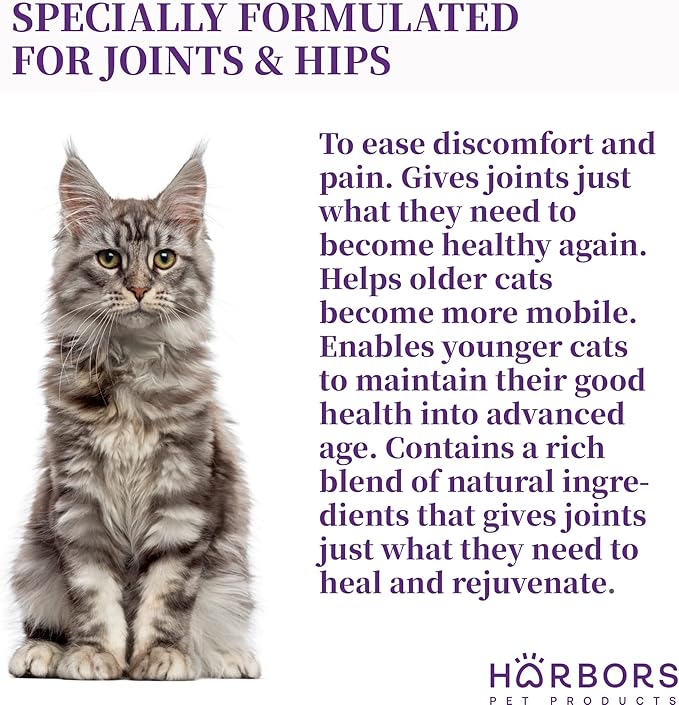 Harbor's Cat Hip Helper - Cat Joint Supplement Liquid for Fast Pain Relief, Smooth Younger HIPS. Natural Nutrients, Glucosamine, MSM, Chondroitin, Hyaluronic Acid, Yummy Organic Beef Flavor - 59 ml