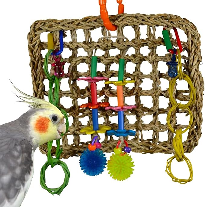 Super Bird Creations SB741 Seagrass Mini Activity Wall with Colorful Foraging Toys for Parrots, Medium Size, 9” x 7” x 2”