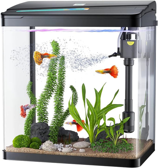 Fish Tank, 3 Gallon Glass Aquarium, 3 in 1 Fish Tank with Filter and Light, Desktop Small Fish Tank for Betta Fish, Shrimp, Goldfish (Black, 3Gallon)