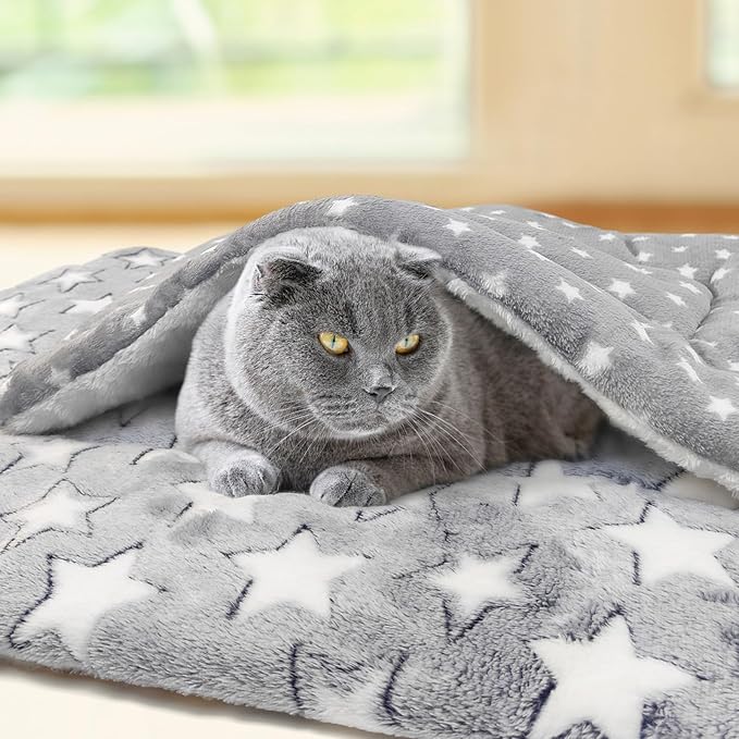 2 Pack Cat Blanket for Indoor Cats Ultra Soft and Warm Calming Cat Bed Fleece Pet Mat for Anxiety and Stress Washable Kitten Blanket