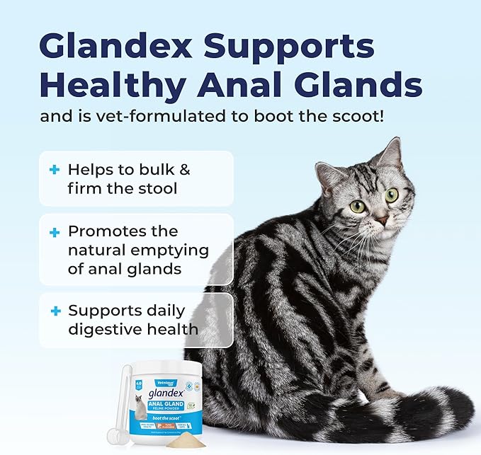 Vetnique Labs Glandex Feline Anal Gland Fiber Supplement Powder for Cats with Digestive Enzyme, Probiotics and Pumpkin, Vet Recommended for Healthy Bowels - Tuna Flavored 4.0 oz, Scoop Included