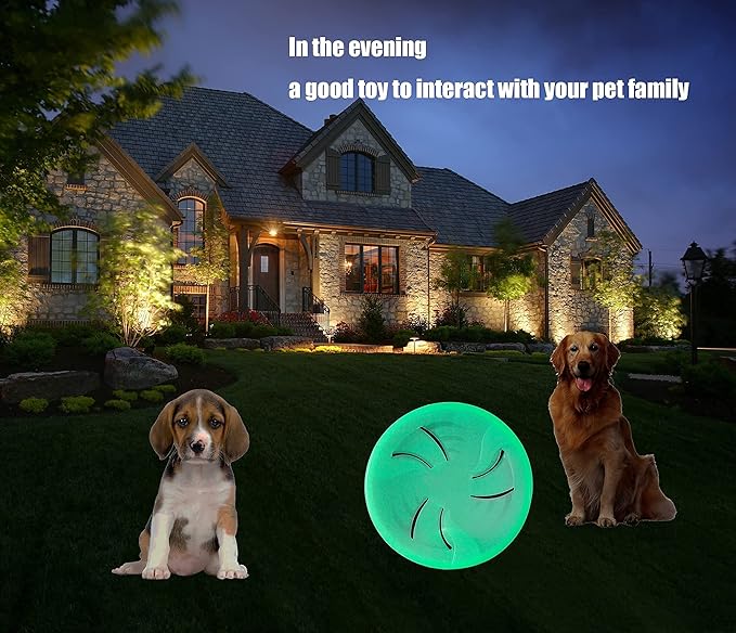 Dog Flying Disc - for Medium Large Dogs - Glowing Flyer for Training – Heavy Duty Durable for Pets – Lightweight, Interactive Flying Toy for Fetch