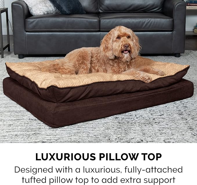 Furhaven Orthopedic Dog Bed for Medium/Small Dogs w/ Pillow Cushion Top & Removable Washable Cover, For Dogs Up to 35 lbs - Minky Plush & Suede Pillow Top Mattress - French Roast, Medium