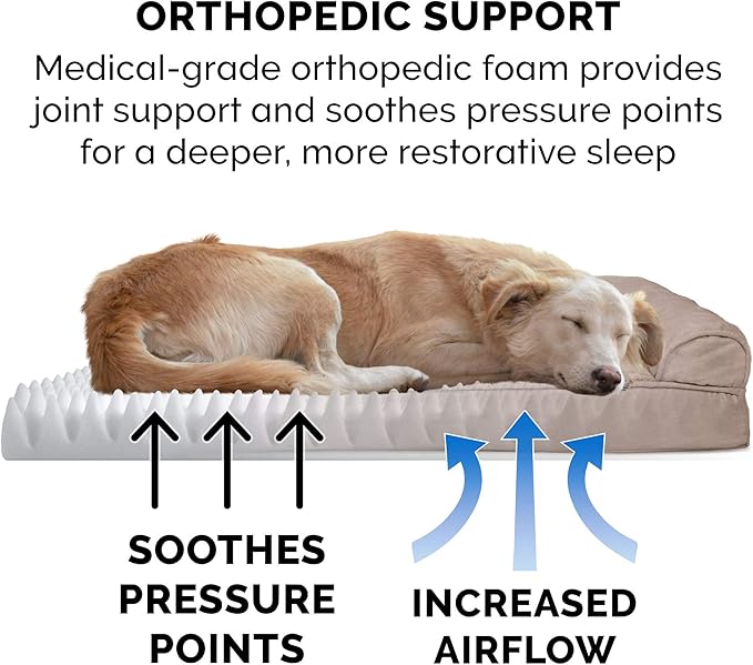 Furhaven Orthopedic Dog Bed for Medium/Small Dogs w/ Removable Bolsters & Washable Cover, For Dogs Up to 35 lbs - Plush & Suede Sofa - Almondine, Medium
