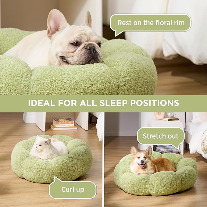 Lesure Calming Small Dog Bed - Flower Donut Round Fluffy Puppy Bed in Plush Teddy Sherpa, Non-Slip Cute Flower Cat Beds for Indoor Cats, Small Pet Bed Fits up to 25 lbs, Machine Washable, Green 23"