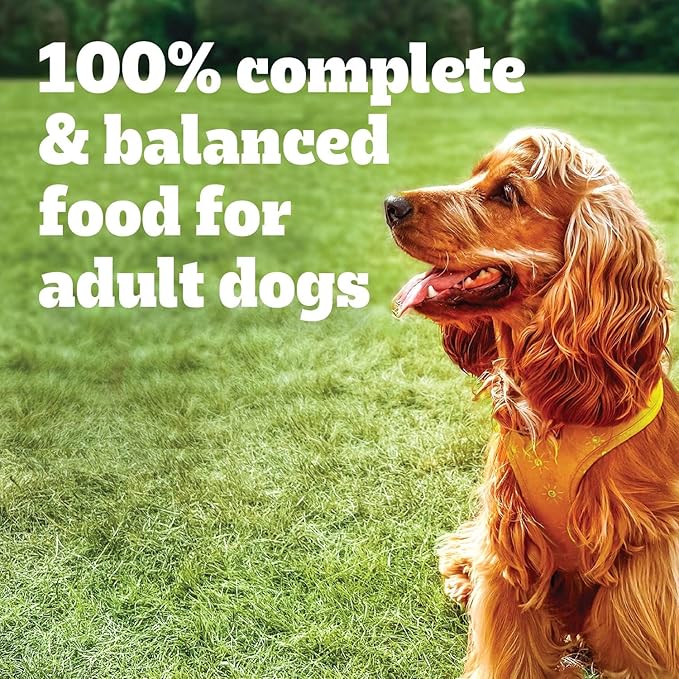 Pedigree High Protein Adult Soft Wet Dog Food Variety Pack, 3.5 oz Pouches, 30 Count