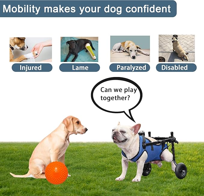 𝑼𝑷𝑮𝑹𝑨𝑫𝑬𝑫 Adjustable Dog Wheelchair, Lightweight Dog Scooter for Back Legs, Max 11 Pound Dogs, Wheelchair for paralyzed Injured Lame Disabled Handicapped Dogs -S