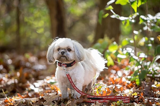 Pets First NHL New Jersey Devils Leash for Dogs & Cats, Medium. - Walk Cute & Stylish! The Ultimate Hockey Fan Leash!, Medium (4 ft Long x 0.62 in Width) (NJD-3031-MD)