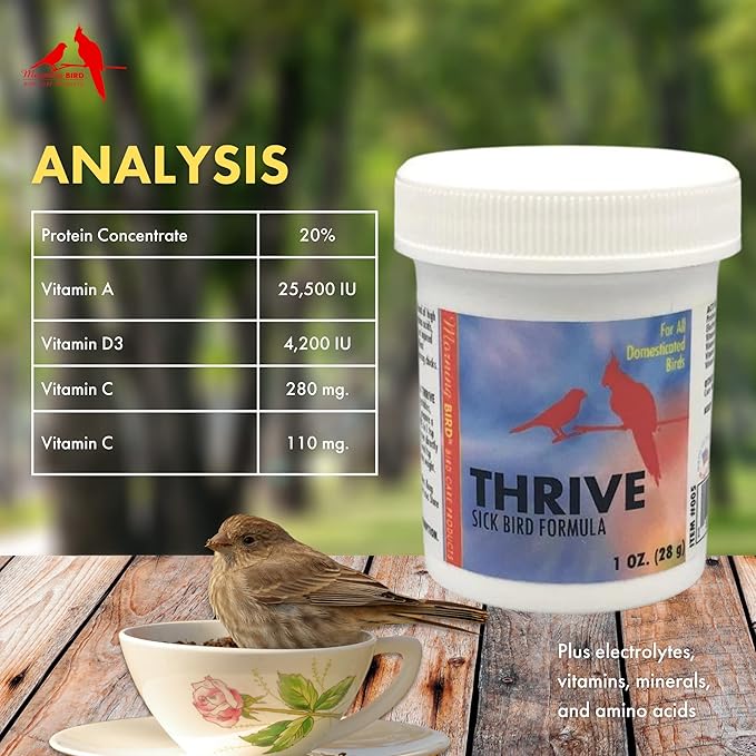 Morning Bird Thrive, Nutritious Energy Supplement with Minerals, Vitamins, Amino Acids, Electrolytes, and Protein, 1 lb