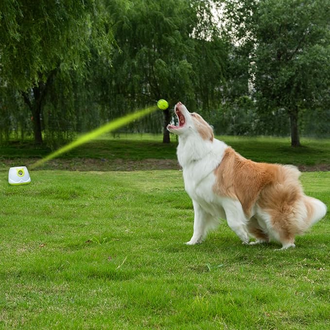 Automatic Ball Launcher for Dog, Including 9 Small Sized 2-inch Balls, Adjustable Launch Distance, Suitable for Small to Medium Sized Dogs (White)