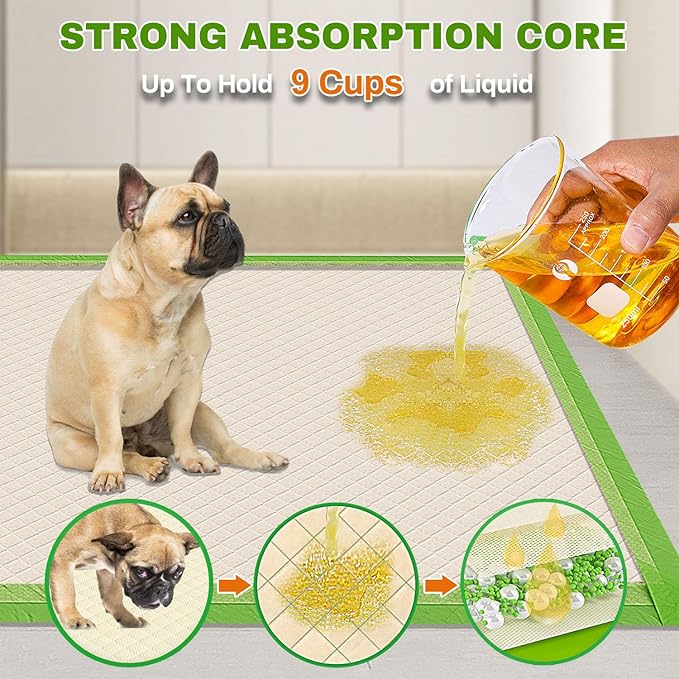 Pee Pads for Dogs Extra Large 28"x34", XL Thicker ECO Green Disposable Xlarge Puppy Training Pads Super Absorbent Full Edge-Wrapping Pad for Dogs, Puppies, Doggie, Cats, Rabbits(100Count)