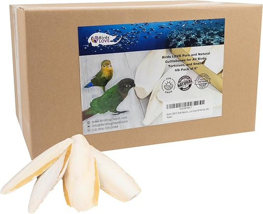 Birds LOVE Natural Cuttlebone – Premium Calcium for Cockatiel, Parrots, Tortoise, Snails, Crabs and Chinchillas - Pure Cuttlebone for Birds - Parakeet Food and Bird Treats - 4lb, Size 5.5" to 6"